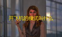 开飞机的模式叫什么